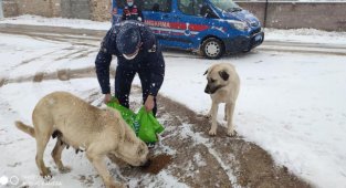 JANDARMA SOKAK HAYVANLARINI UNUTMADI