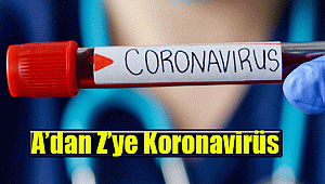 A’dan Z’ye Koronavirüs