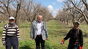 Karaman Ziraat Odası Başkanı Bayram: "Gıda üretimi olmayan bir millet özgür ve bağımsız değildir.