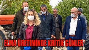 ELMA ÜRETİMİNDE KRİTİK GÜNLER!!!