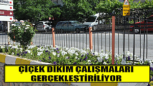 ÇİÇEK DİKİM ÇALIŞMALARI GERÇEKLEŞTİRİLİYOR