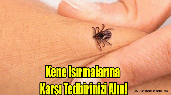 Kene Isırmalarına Karşı Tedbirinizi Alın!