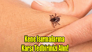 Kene Isırmalarına Karşı Tedbirinizi Alın!