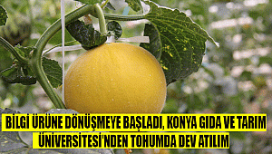 TOHUM ÇEŞİTLERİ, 2021 YILINDA TESCİLE HAZIR HALE GELECEK