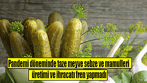 Pandemi döneminde taze meyve sebze ve mamulleri üretimi ve ihracatı fren yapmadı