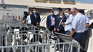  Ayrancı İlçe Tarım ve Orman Müdürlüğü tarafından “KOP İle Yaz Seracılığı Başlıyor” projesi kapsamında tarım serası projesinin açılışı gerçekleştirildi.