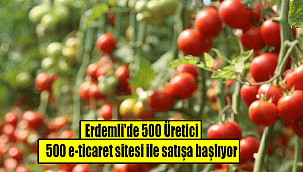 Erdemli'de 500 Üretici 500 e-ticaret sitesi ile satışa başlıyor