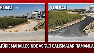 ATATÜRK MAHALLESİNDE ASFALT ÇALIŞMALARI TAMAMLANDI