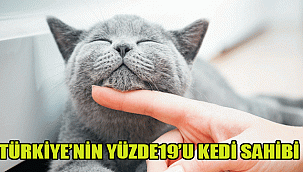 TÜRKİYE'NİN YÜZDE19'U KEDİ SAHİBİ