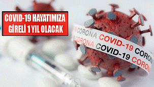 COVID-19 HAYATIMIZA GİRELİ 1 YIL OLACAK