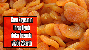 Kuru kayısının ihraç fiyatı dolar bazında yüzde 23 arttı