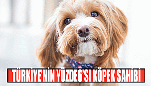 TÜRKİYE’NİN YÜZDE6’SI KÖPEK SAHİBİ
