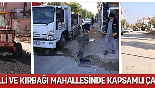 ZEMBİLLİ VE KIRBAĞI MAHALLESİNDE KAPSAMLI ÇALIŞMA