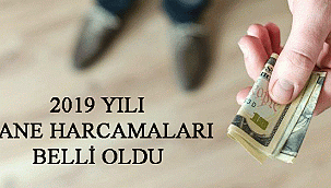 2019 YILI HANE HARCAMALARI BELLİ OLDU