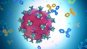 GSK ve Vir Biotechnology COVID-19’a Karşı ACTIV-3 Antikor Tedavisi Çalışmasına Başladığını Duyurdu  