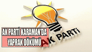 KARAMAN AK PARTİ'DE YAPRAK DÖKÜMÜ