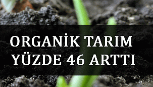 ORGANİK TARIM YÜZDE 46 ARTTI