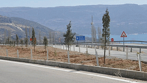 AĞAÇLANDIRMA ÇALIŞMALARI DEVAM EDİYOR