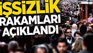 Türkiye'de işsizlik oranı, Kasım 2020'de 2019'un aynı ayına göre 0,4 puan azalarak yüzde 12,9 oldu.