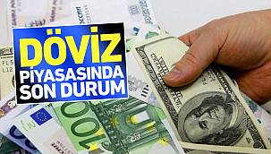 Dolar 7.20'den 8.40'a Yükseldi