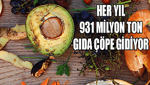 HER YIL 931 MİLYON TON GIDA ÇÖPE GİDİYOR
