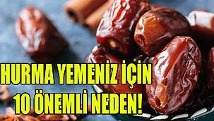HURMA YEMENİZ İÇİN 10 ÖNEMLİ NEDEN!