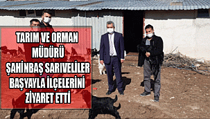 TARIM VE ORMAN MÜDÜRÜ ŞAHİNBAŞ SARIVELİLER VE BAŞYAYLA İLÇELERİNİ ZİYARET ETTİ
