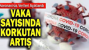 Vaka ve ölüm sayısında korkutan artış