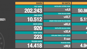 223 kişi hayatını kaybetti