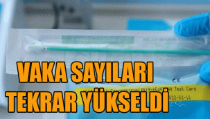 Vaka sayıları tekrardan yükselişe geçti
