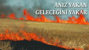 ANIZ VE ANIZ YAKMANIN ZARARLARI