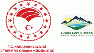 GÖKSU TAŞELİ HAVZASI KALKINMA PROJESİNDE 2021 YILI 1. HİBE MÜRACAATLARI BAŞLIYOR