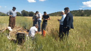 KILBASANDAKİ MEVSİMLİK TARIM İŞÇİLERİNİN KONAKLAMA SORUNU ÇÖZÜLÜYOR