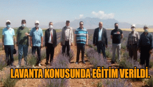 KIRAÇ ALANLARIN MOR BEREKETİ LAVANTA KONUSUNDA EĞİTİM VERİLDİ.