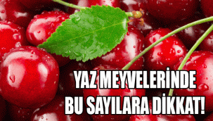 YAZ MEYVELERİNDE BU SAYILARA DİKKAT!
