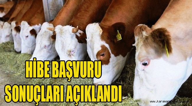 BÜYÜKBAŞ VE KÜÇÜKBAŞ HAYVANCILIK İŞLETMELERİNE YÖNELİK HİBE BAŞVURU SONUÇLARI AÇIKLANDI