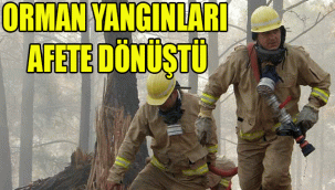 Orman Genel Müdürü Karacabey yangınlara ilişkin açıklamada bulundu