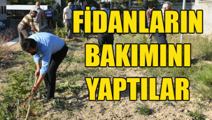 “Telafide Ben de Varım” Diyerek Fidanların Bakımını Yaptılar