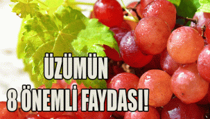 ÜZÜMÜN 8 ÖNEMLİ FAYDASI!