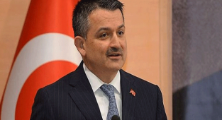 Karaman’da 765 bin fidan dikilecek