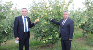 Karaman Elma Üreticisi EKÜY’ü Benimsedi….