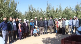 ELMADA HASAT KAYIPLARININ EN AZA İNDİRİLMESİ İÇİN ÇALIŞMALAR BAŞLADI.