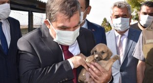 Vali Işık’tan Can Dostlarımıza Özel İlgi