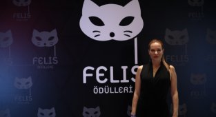 16. Felis Ödülleri sona erdi