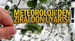 karaman'da Zirai Don Tehlikesine Dikkat!
