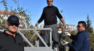 ÇİFTÇİLERİMİZE CEVİZ, ZEYTİN VE BADEM FİDANI DAĞITILDI