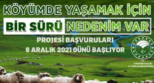 KÜÇÜKBAŞ HAYVANCILIĞA BÜYÜK DESTEK