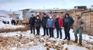İl Müdürü Yusuf ŞAHİNBAŞ Sudurağı Kasabasında Yoğun Kar Yağışından Dolayı Çardağı Göçen Üreticimize Geçmiş Olsun Ziyaretinde Bulundu.