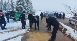 Aile İçi Şiddetle Mücadele ve KADES Uygulaması ile ilgili Konferans- Sokak Hayvanlarının Beslenme 