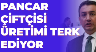 PANCAR ÇİFTÇİSİ ÜRETİMİ TERK EDİYOR